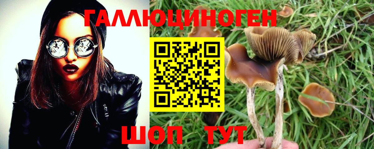 Галлюциногенные грибы прущие грибы  Псилоцибиновые грибы Psilocybine cubensis  Нефтекамск  Вход с VPN 